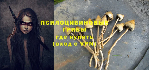 mdpv Алзамай