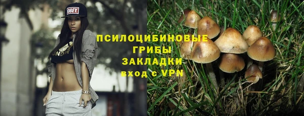 гидра Абинск