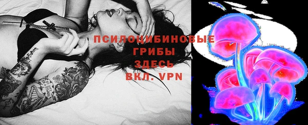 гидра Абинск